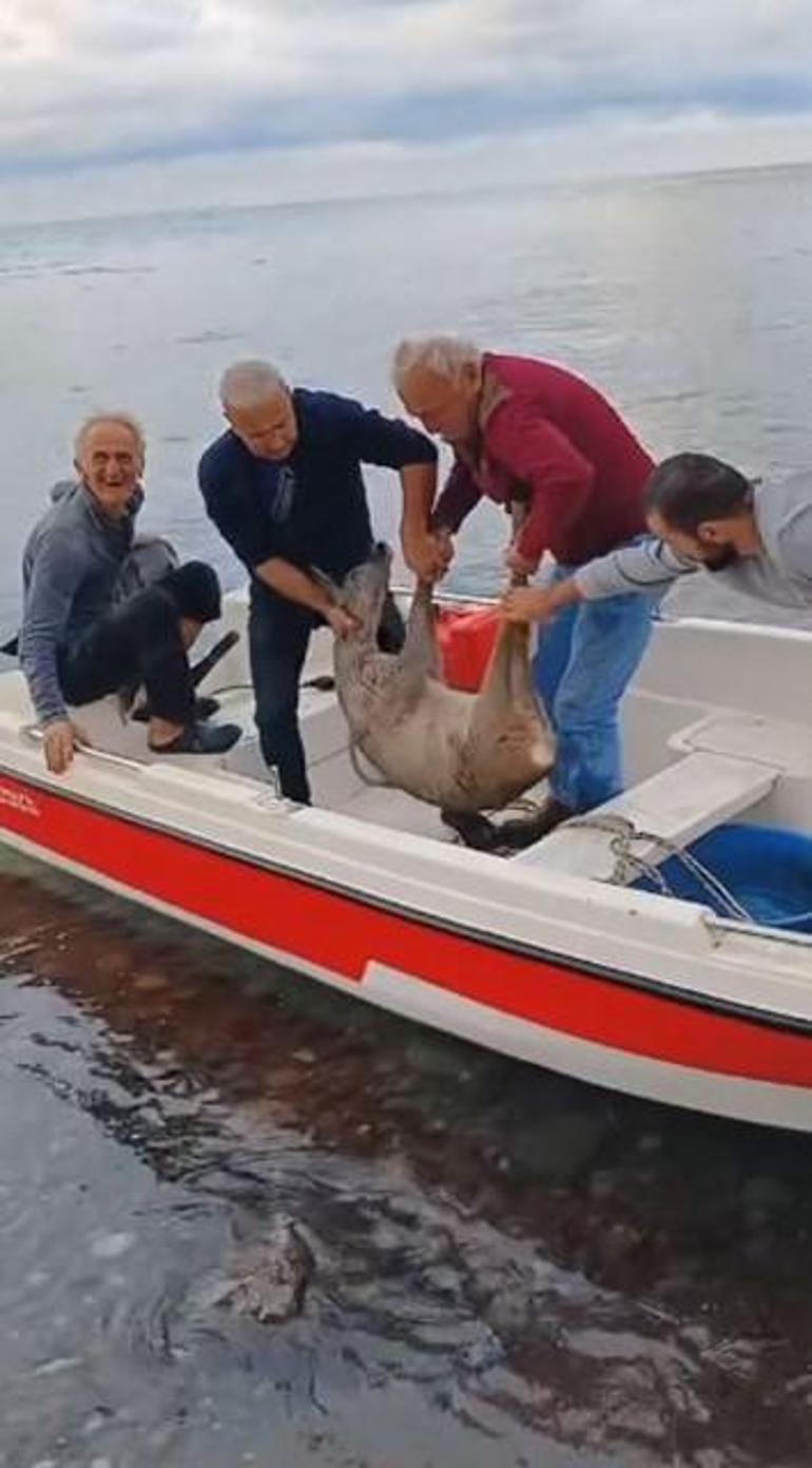 Balıkçılar denizde yakaladı, gözlerine inanamadı: Çok hızlı yüzüyordu