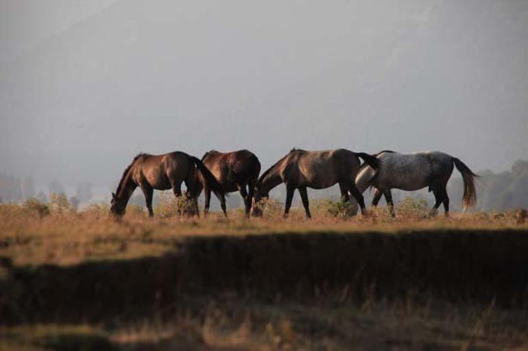 Toroslardaki cennet 600 kişi yaşıyor: Dünyanın en iyi turizm köyü seçildi