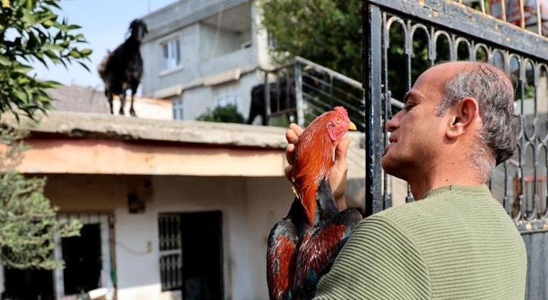 Gören şaşkına dönüyor ‘Herkes bana ‘Nuhun gemisi diye sesleniyor’