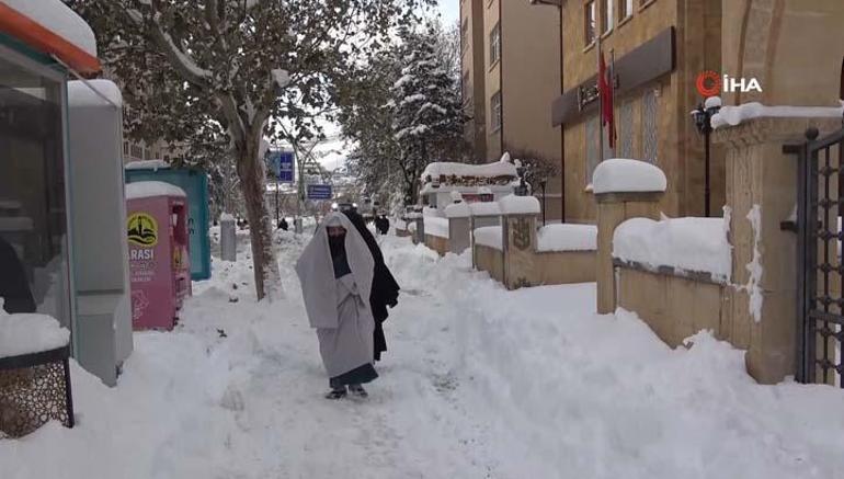 Kentte kar kalınlığı 80 cmi buldu, kuşlar dondu: Böyle bir kış görmedik