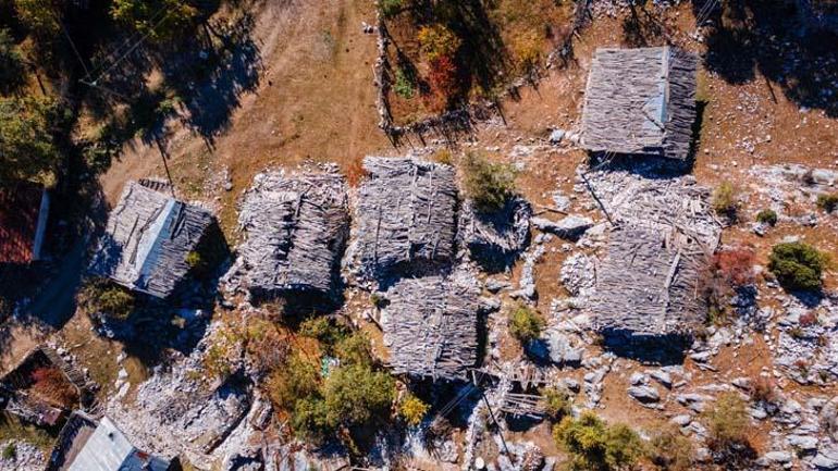 Kurt saldırıları bir köyü boşalttı Meraklıları akın etti