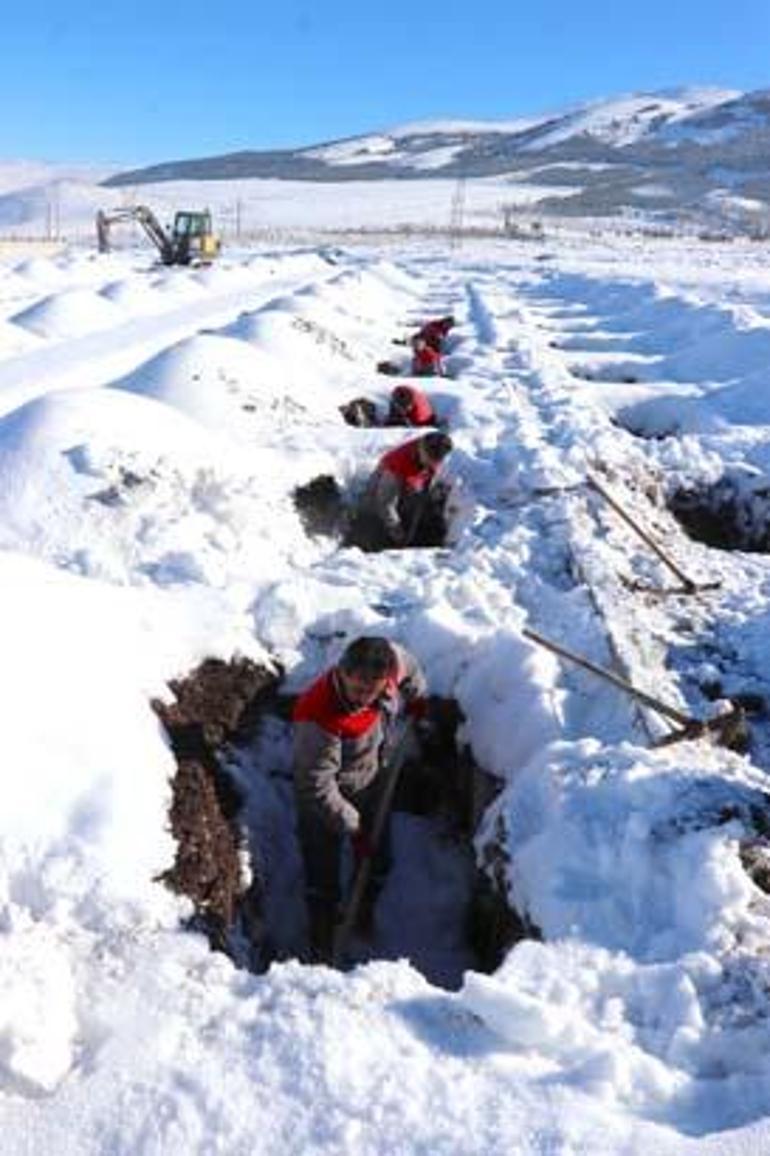 Erzurumda kış hazırlığı: 500 adet mezar kazıldı