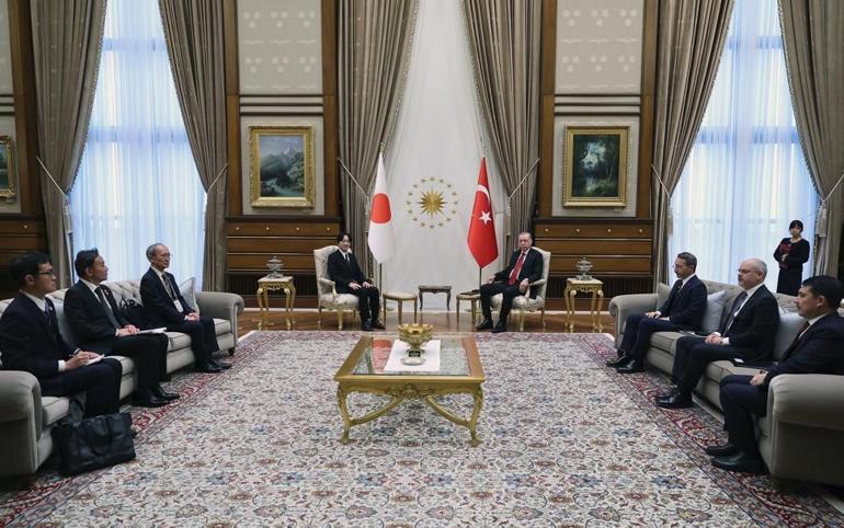 Cumhurbaşkanı Erdoğan, Japonya Veliaht Prensi Fumihitoyu kabul etti