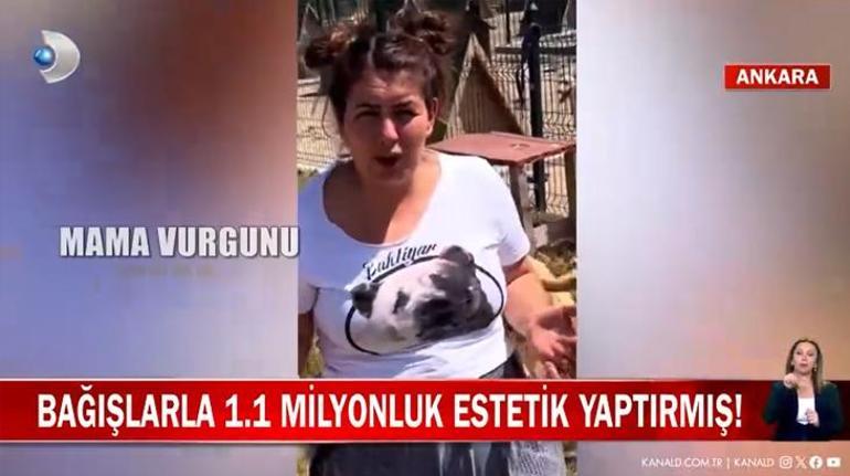 Bu kadarına da pes Köpek Velisi Buket Özgünlü bağışlarla 1.1 milyonluk estetik yaptırmış