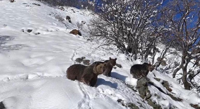 Drone çekiminde fark edildiler Ormana girerek gözden kayboldular