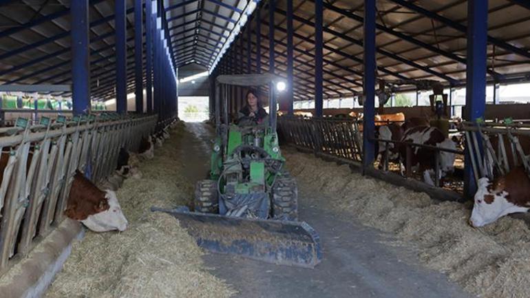 Annesini kaybetti, 36sında çiftlik sahibi oldu 1.5 ton süt üretiyor: Sen anlamazsın dediler