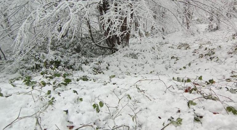 Meteoroloji bugün için uyardı Ülke genelinde yoğun kar ve sağanak alarmı