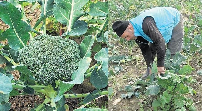 Kışlık sebze hesabı bütçeyi zorluyor