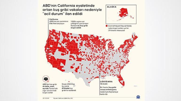 Acil durum ilan edildi ABDnin California eyaletinde kuş gribi alarmı