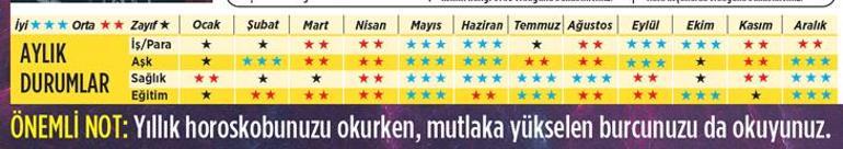 2025 size ne getirecek Aslan | Yeni hedeflere yol alıyorsunuz