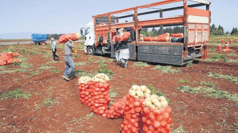 10 adımda asgari ücret etkisi 2025 yılında çalışma hayatında neler değişecek