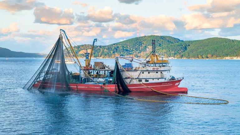 İstanbul’a kadın kaptanlar aranıyor