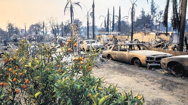 30 bin dönüm yandı, 10 kişi öldü, 10 bin yapı küle döndü İki ‘kundakçı’ gözaltında