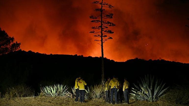 Los Angeles’taki yangınlardan etkilenen 400 hayvan bölgeden tahliye edildi