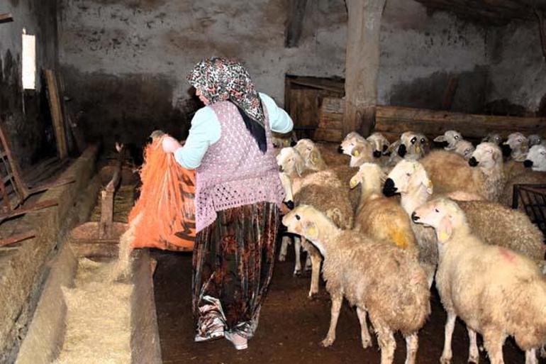 Ev işleri bitince hayatları değişiyor 25 kadının sıra dışı hikayesi:  Eşlerimiz de arkamızda