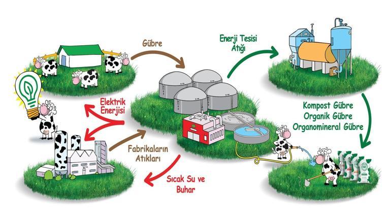 Sütaş, elektrik ihtiyacının %88’ini çiftliklerinin gübrelerinden üretiyor