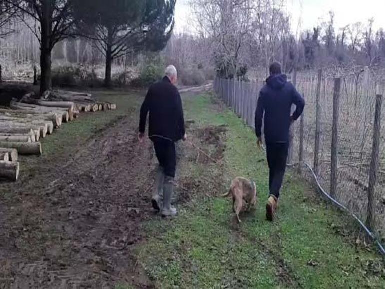 3 gündür yemlerle ve tuzaklarla aranıyor: Hiçbir ize rastlamadı