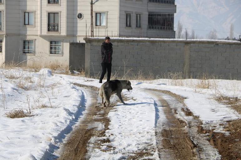 Son dakika.... Bakanlardan peş peşe sokak köpeklerinin saldırısında ölen 12 yaşındaki Eslem Teker ile ilgili açıklama