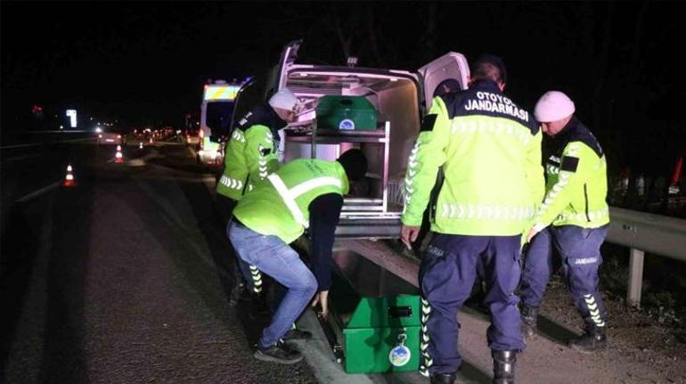 Otoyolda feci ölüm Çok sayıda araç çarparak parçaladı Kimliği belli oldu