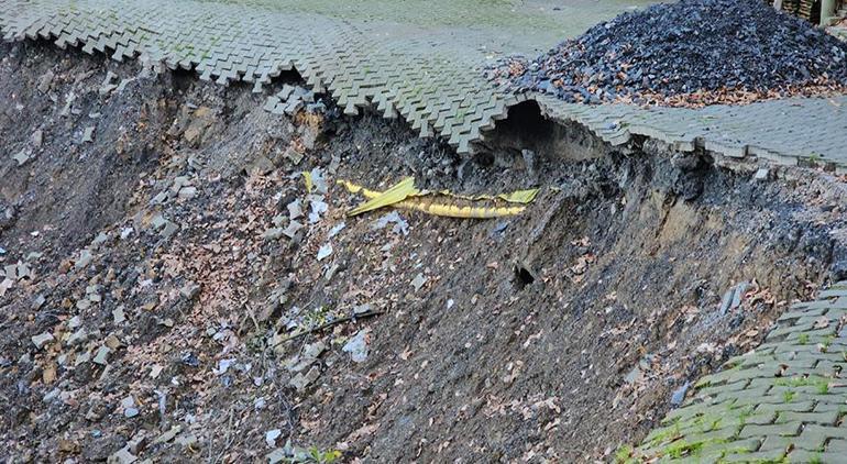 Her gün aşağıya doğru kayıyor Mahalle diken üstünde: Gece uyuyamıyorum