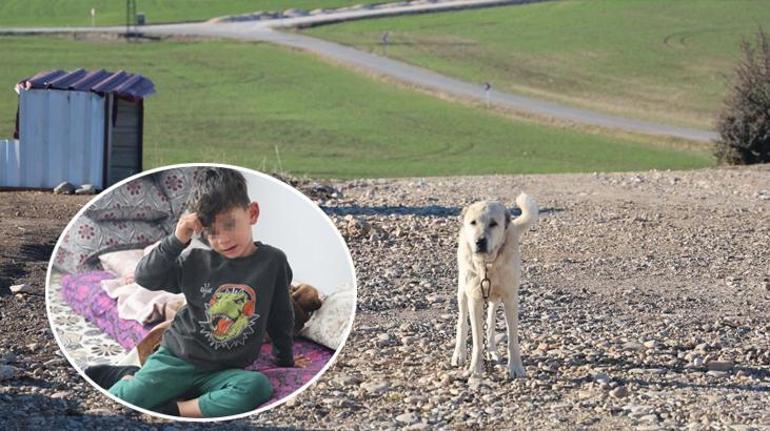 Diyarbakırdaki köpek saldırısının görüntüleri ortaya çıktı 5 yaşındaki çocuğa ekmek vermek isterken saldırmıştı