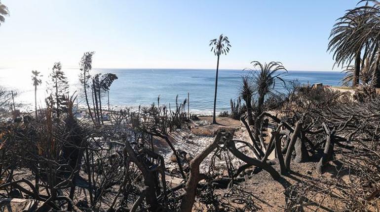 ABDde Los Angeles yangınlarında ölenlerin sayısı 28e çıktı