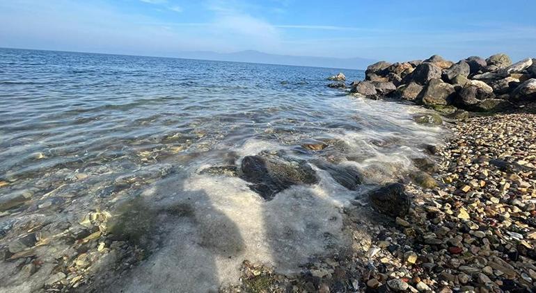 Kabus yeniden hortladı Marmara ölüm çığlığı atıyor