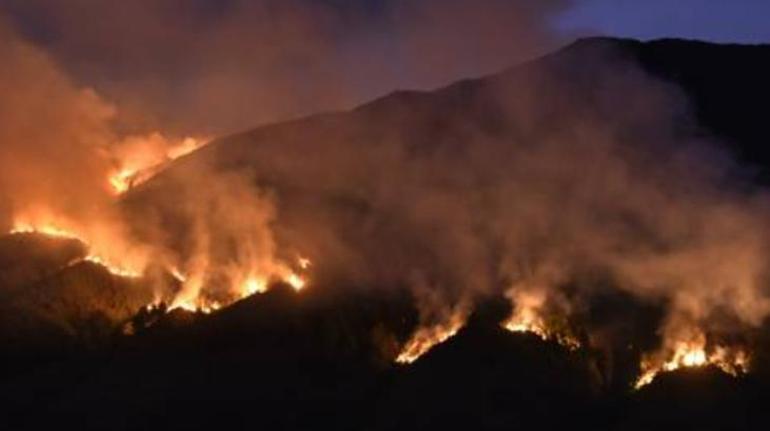 Endonezyadaki Semeru Yanardağı’nda patlama