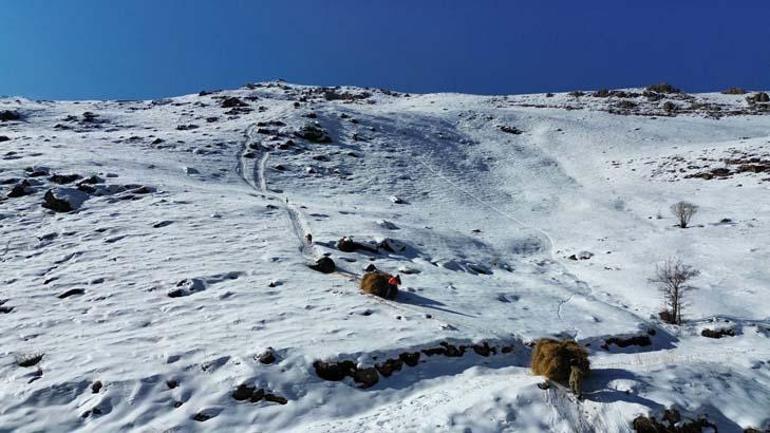 Hakkari dağlarında depolanıyor: Sadece yürüyerek gidilebiliyor, kızaklarla taşıyorlar