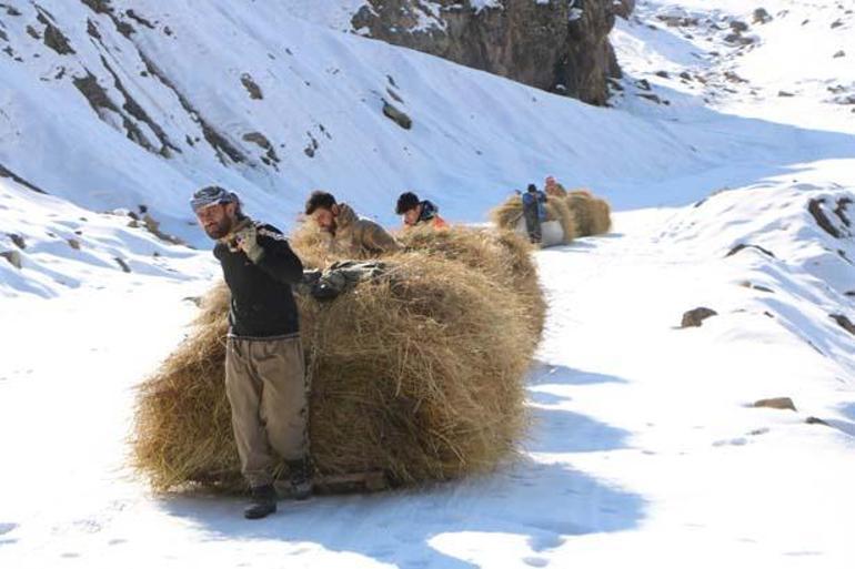 Hakkari dağlarında depolanıyor: Sadece yürüyerek gidilebiliyor, kızaklarla taşıyorlar