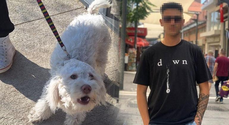 Bu ilk değil Kız arkadaşını dövüp, köpeğini tekmelemişti yeni detaylar