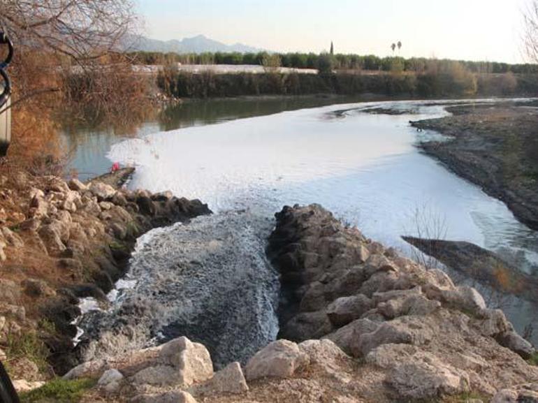 Kentteki balıklarda botulismus alarmı: Av Sinir sistemini felç edip, öldürüyor