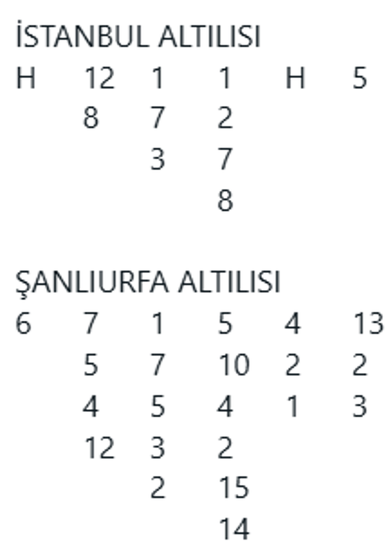 Son ayakta Serzatkeyf