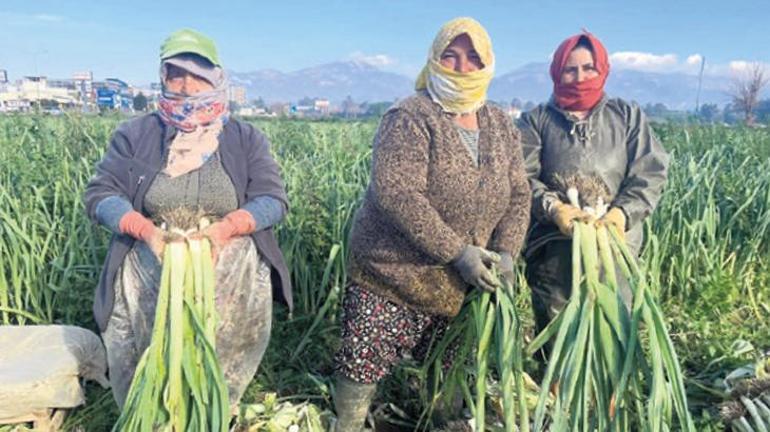 Köy nüfusu azalıyor çiftçiler yaşlanıyor