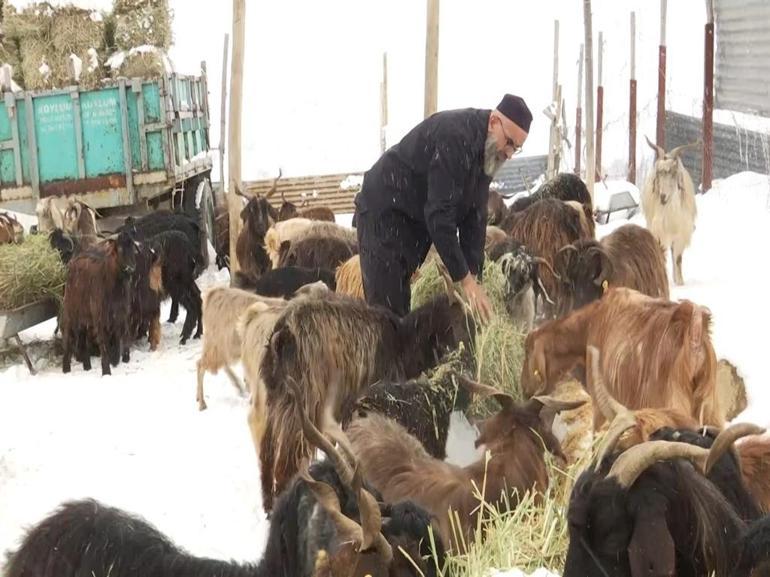 12 yıl önce şehir hayatından sıkılarak köyüne döndü: İş değil sanki terapi