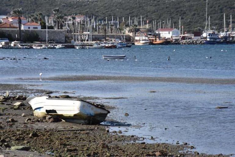 İzmir, Muğla ve Aydında deprem teyakkuzu Egedeki sarsıntılar sonrası kıyılara kuruldu