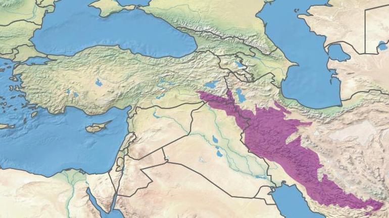 Türkiyenin altında büyüyen yarık keşfi: Okyanus levhası koptu