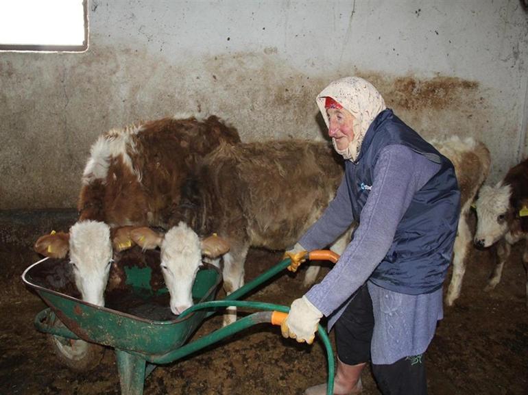 Bakan Kacır, 80 yaşındaki kadın besiciye süt sağım makinesi hediye etti