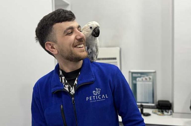 Veterinere giden papağanın görüntüleri sosyal medyada viral oldu