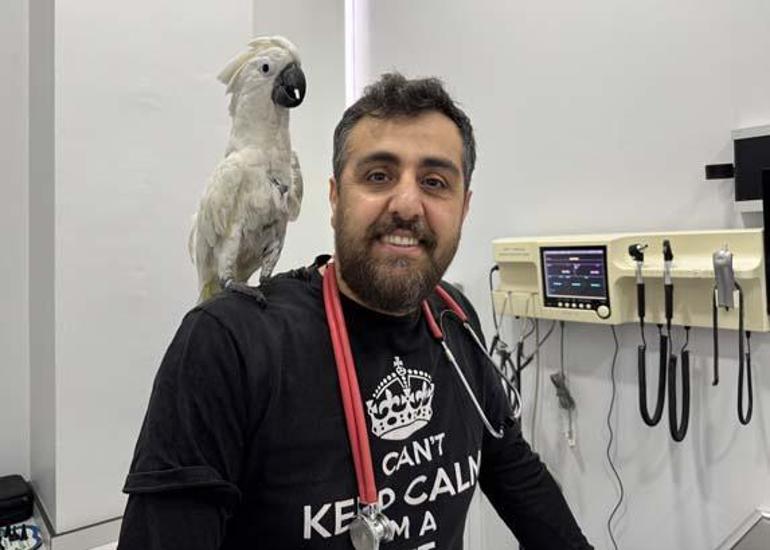 Veterinere giden papağanın görüntüleri sosyal medyada viral oldu