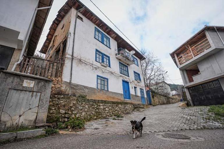 Şehre giden köye dönüyor 398 nüfusun 220si genç: Kafasına göre bir hayat, kendi işini yapma şansı var