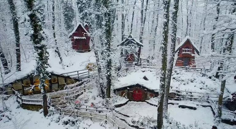 Kocaeliden büyüleyici görüntüler Avrupa’nın en büyük doğal yaşam parkı beyaza büründü