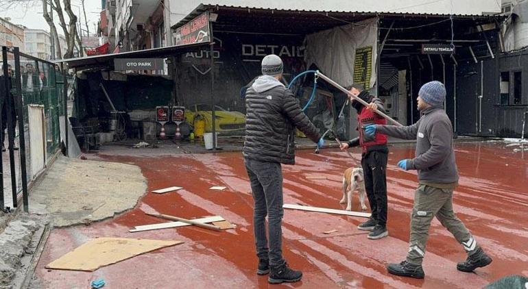 İstanbulda Pitbull dehşeti Sahibini ve arkadaşını hastanelik etti