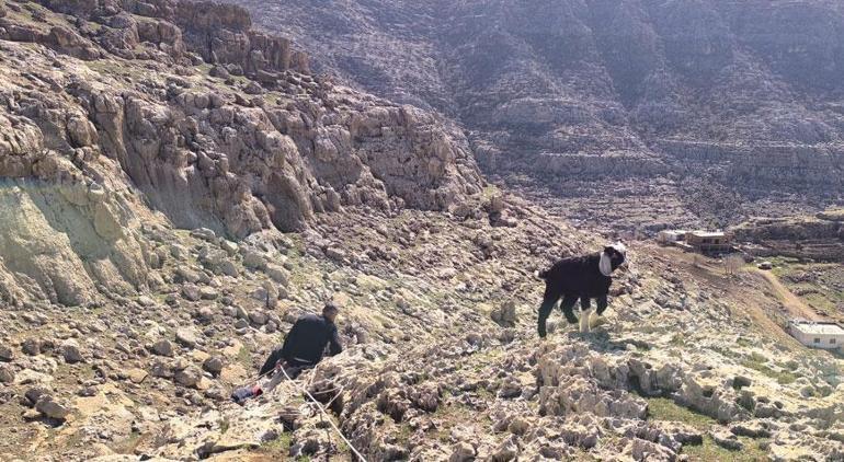 Kayalıklarda mahsur kaldılar 17si tek tek kurtarıldı