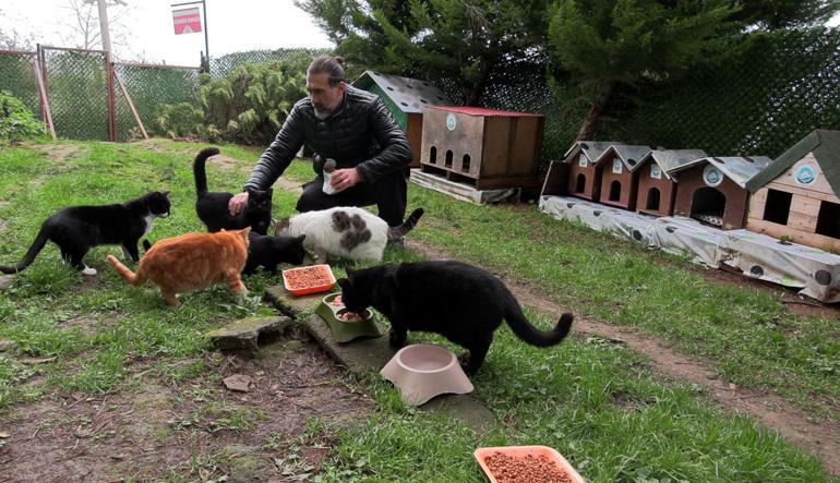 ‘Kedi Köyü’ için yeni adım Kitap sayımı çoğalttım