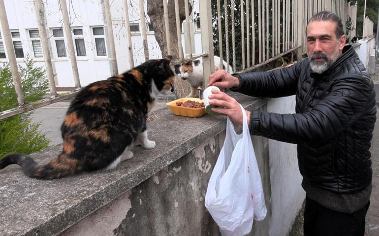 ‘Kedi Köyü’ için yeni adım Kitap sayımı çoğalttım