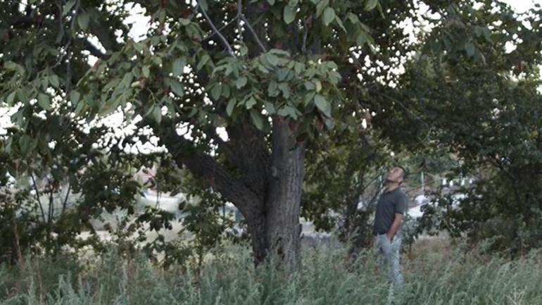 Başpınar Köyünün geçim kaynağı bale Yazın tarlanın, kışın sahnenin tozunu attırdılar