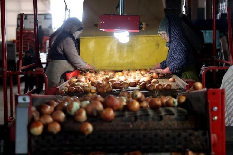 Devlet desteğiyle paketleme tesisi kurdu 30 kişiye istihdam sağlıyor