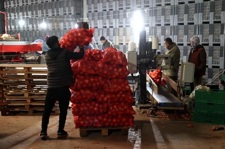 Devlet desteğiyle paketleme tesisi kurdu 30 kişiye istihdam sağlıyor