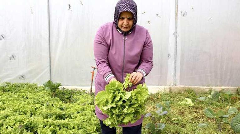 Özel sektörde 30 yıl çalıştıktan sonra emekli oldu Hibe desteğiyle hayatı değişti